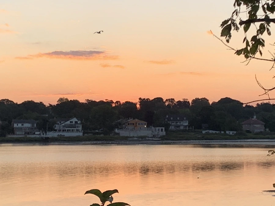 IMG_8834.jpg?type=w966