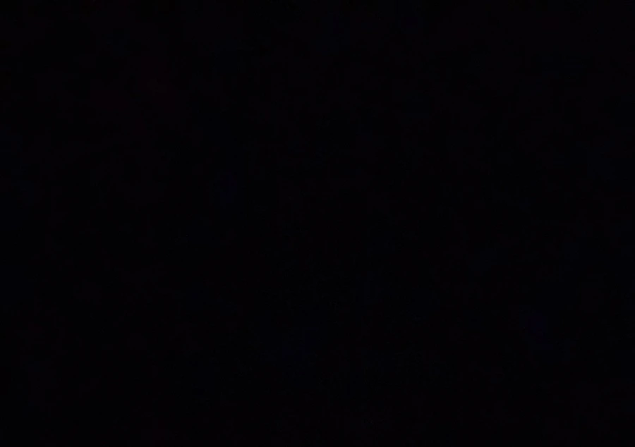 IMG_0089.jpg?type=w966