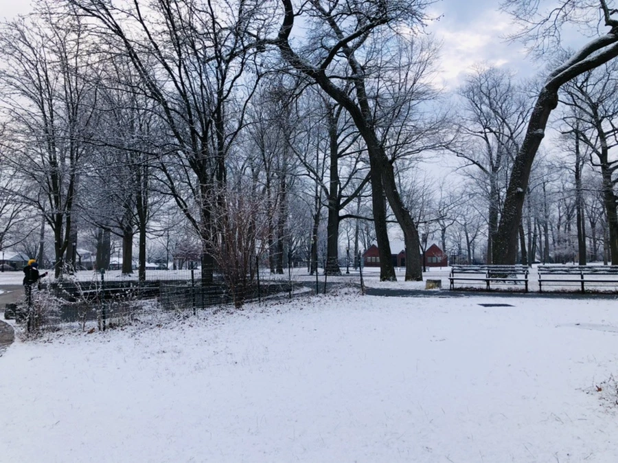 IMG_4500.jpg?type=w966