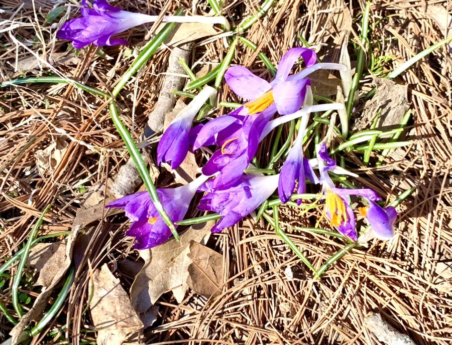 IMG_1421.jpg?type=w966