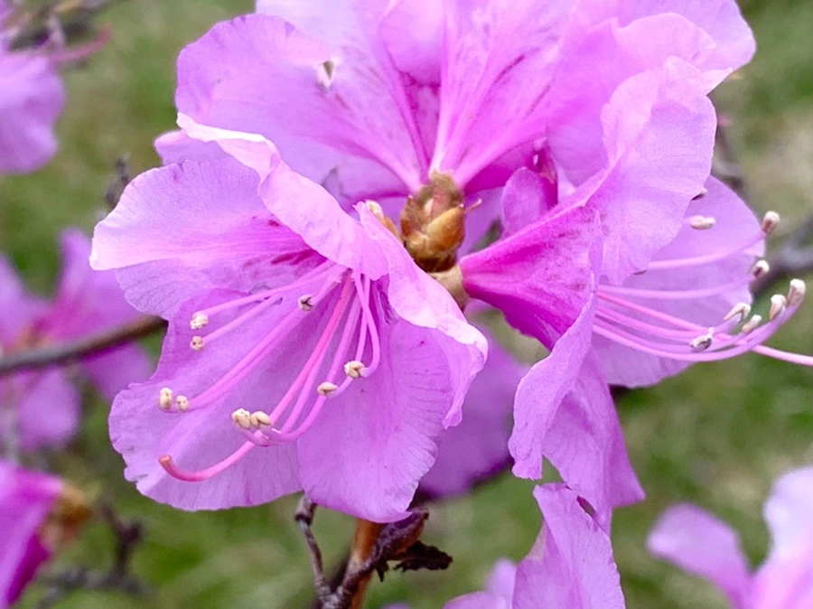 IMG_6767.jpg?type=w966