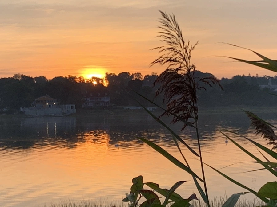 IMG_6831.jpg?type=w966