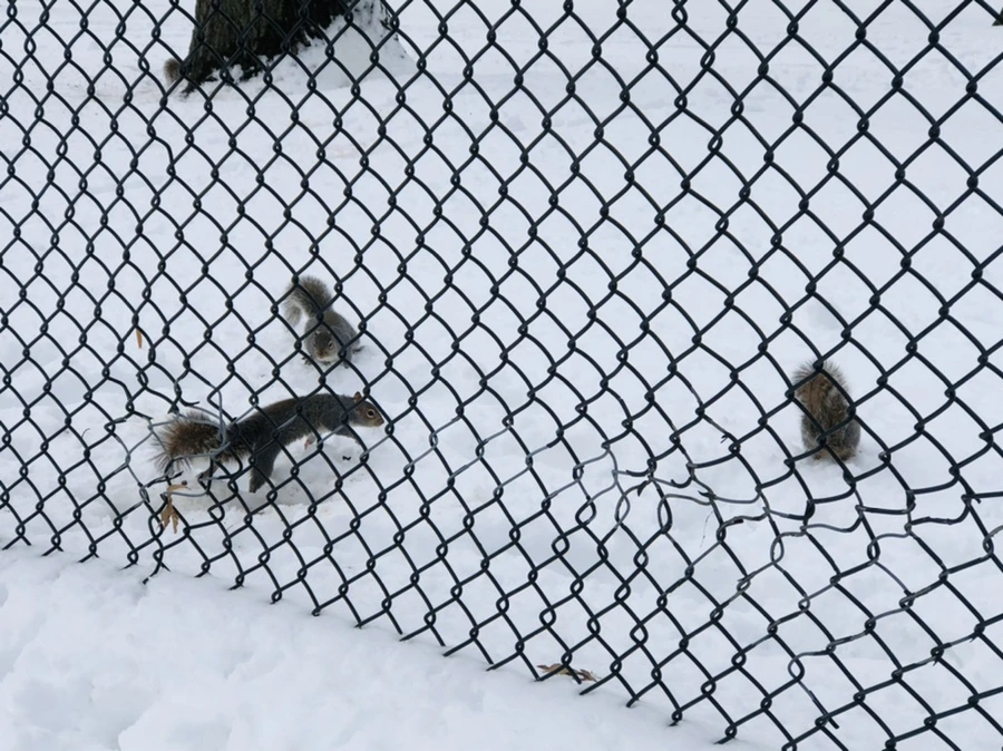 IMG_9257.jpg?type=w966