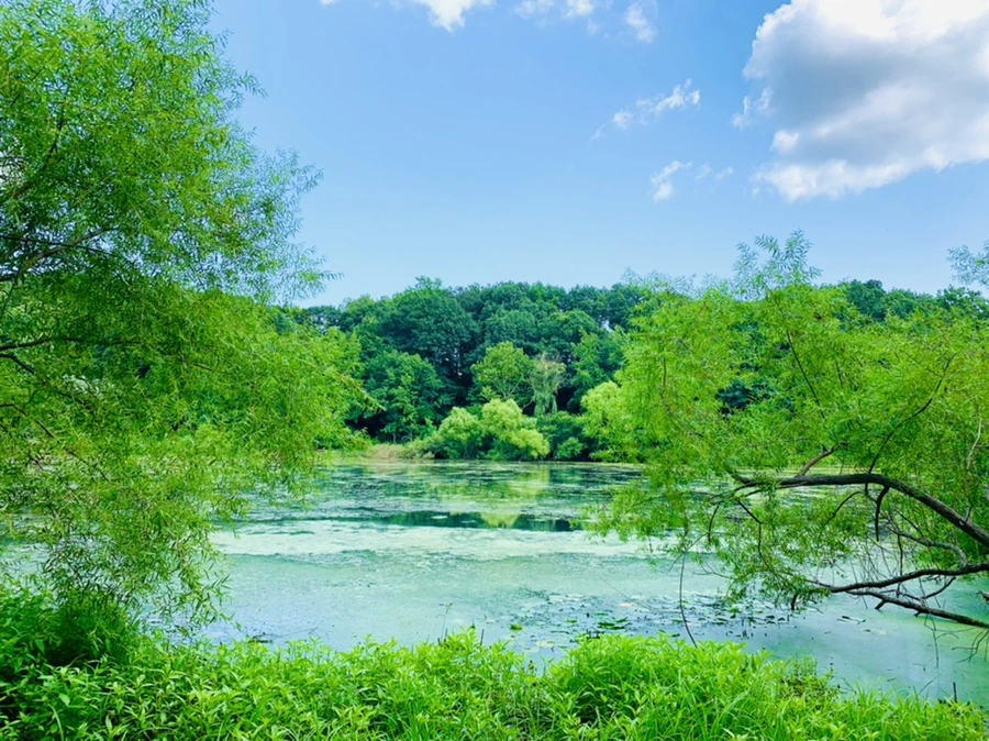 IMG_7489.jpg?type=w966