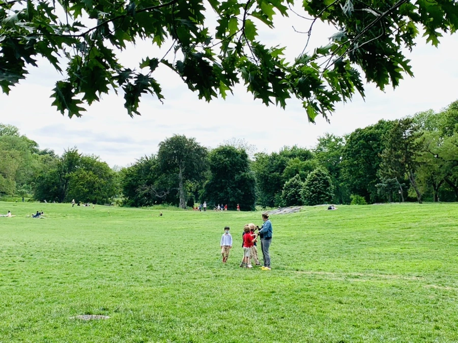 IMG_6417.jpg?type=w966