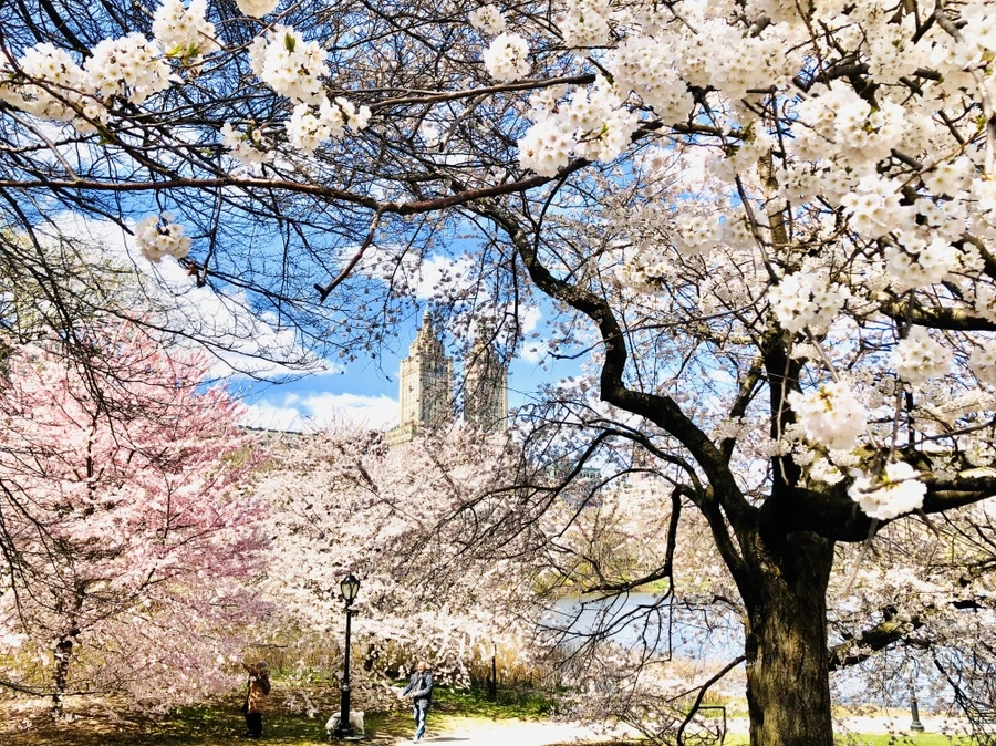 IMG_6852.jpg?type=w966