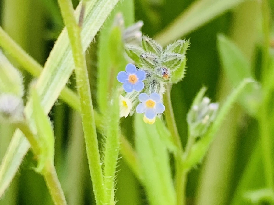 IMG_8649.jpg?type=w966