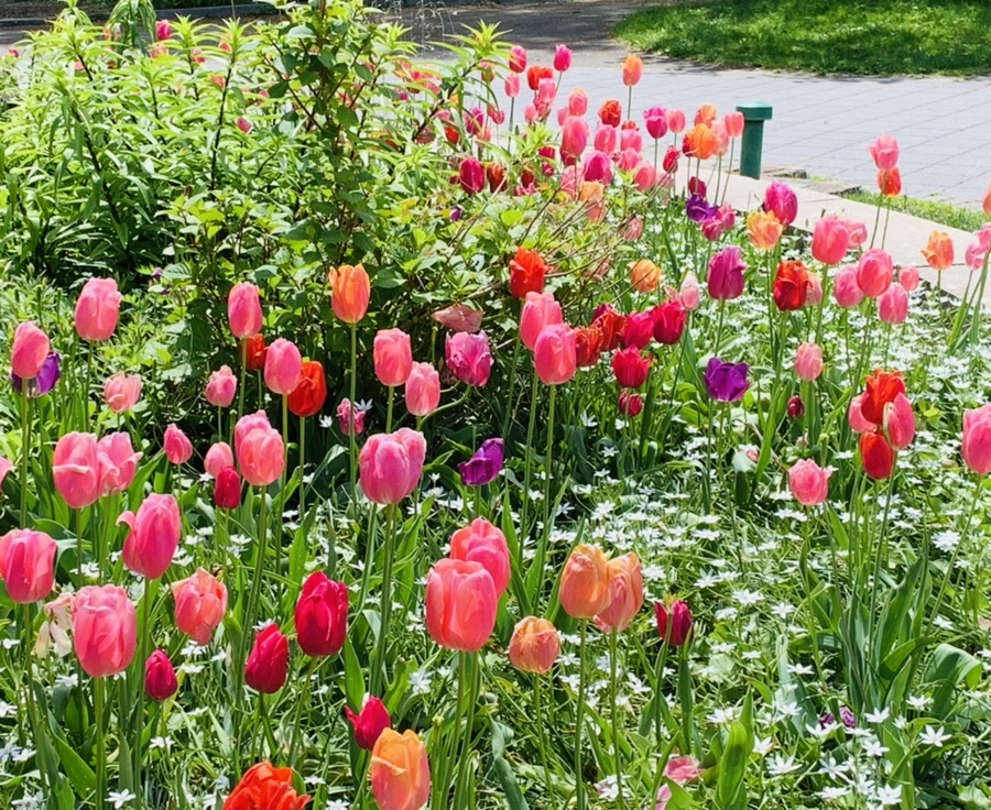 IMG_1344.jpg?type=w966