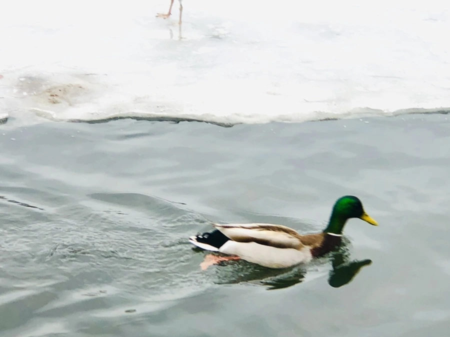 IMG_6269.jpg?type=w966