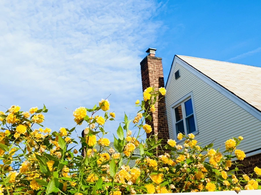 IMG_1041.jpg?type=w966