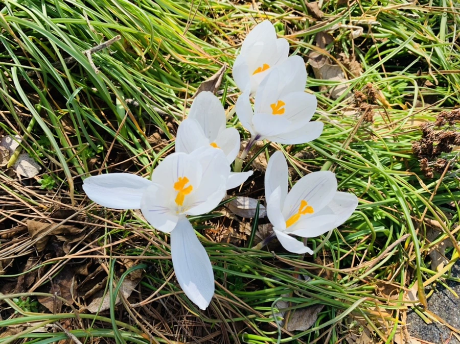 IMG_4371.jpg?type=w966