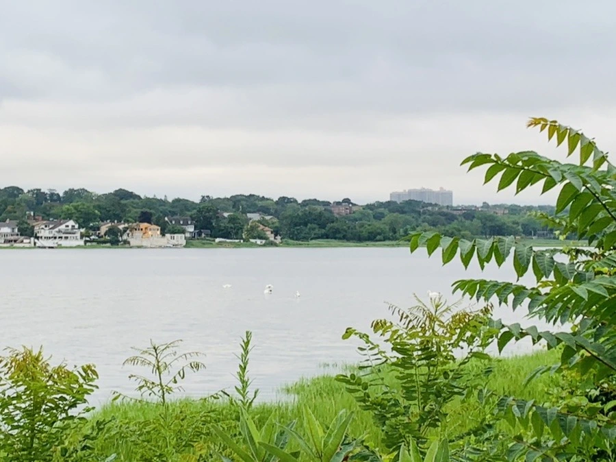 HuiMlcl7s54EzTlkNmHjg1EXNO8