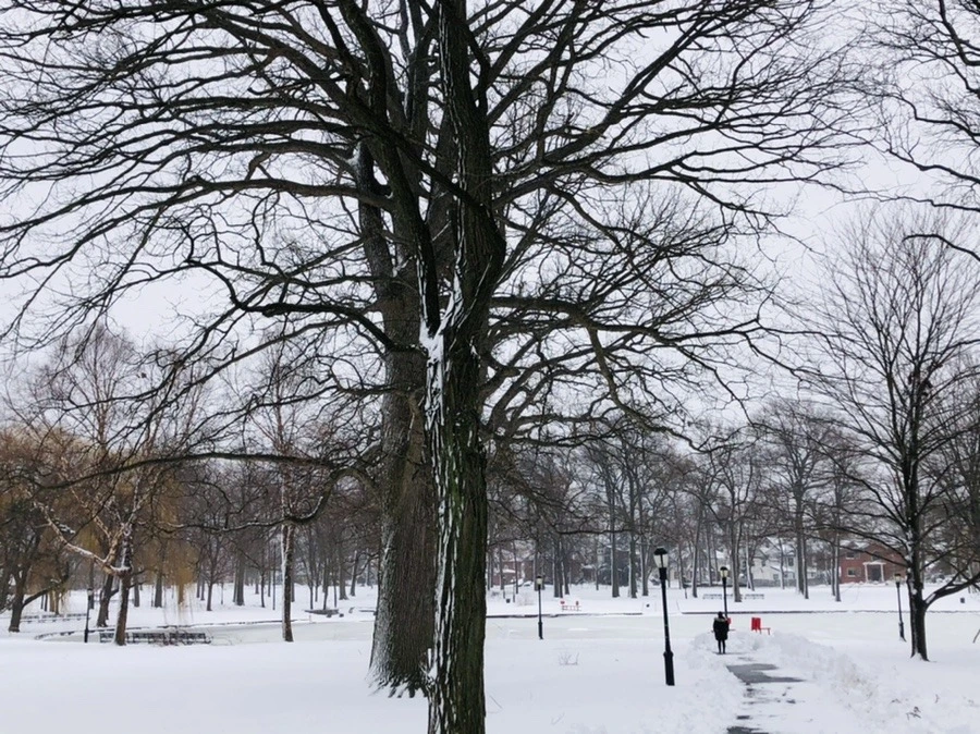 OeiHMtMgJ5loLNtMlWWRTBifGuQ