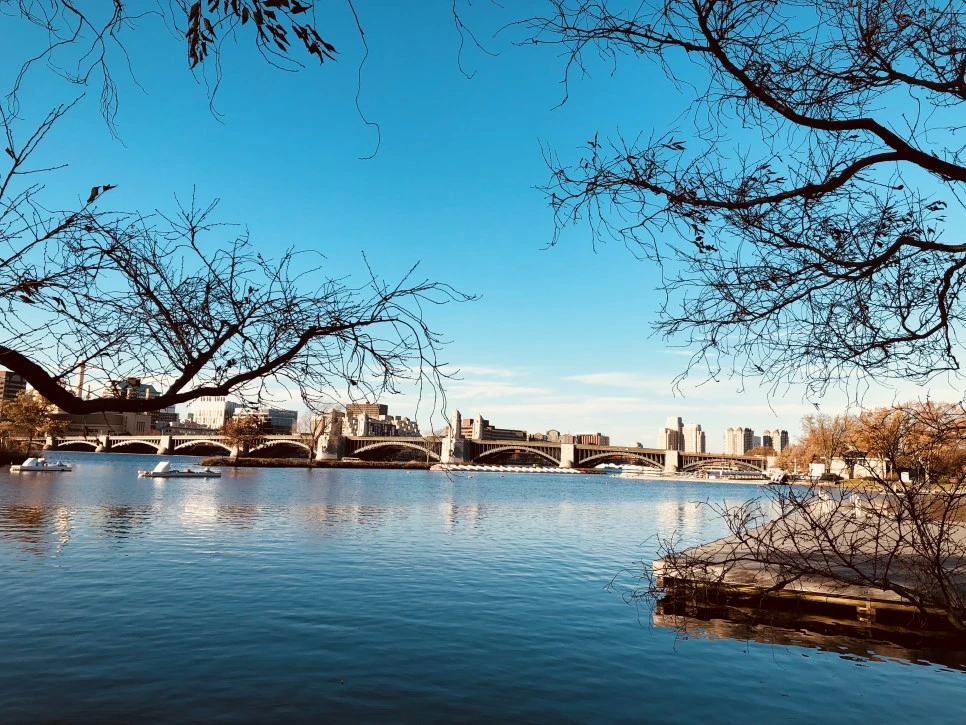 IMG_E1520.JPG?type=w966