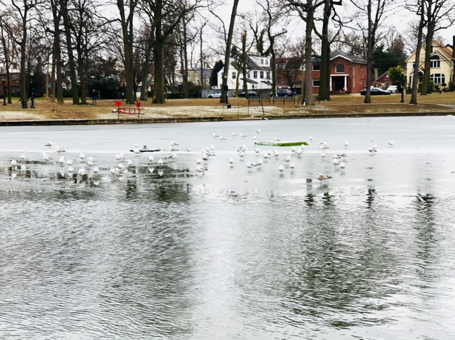 IMG_6395.jpg?type=w966