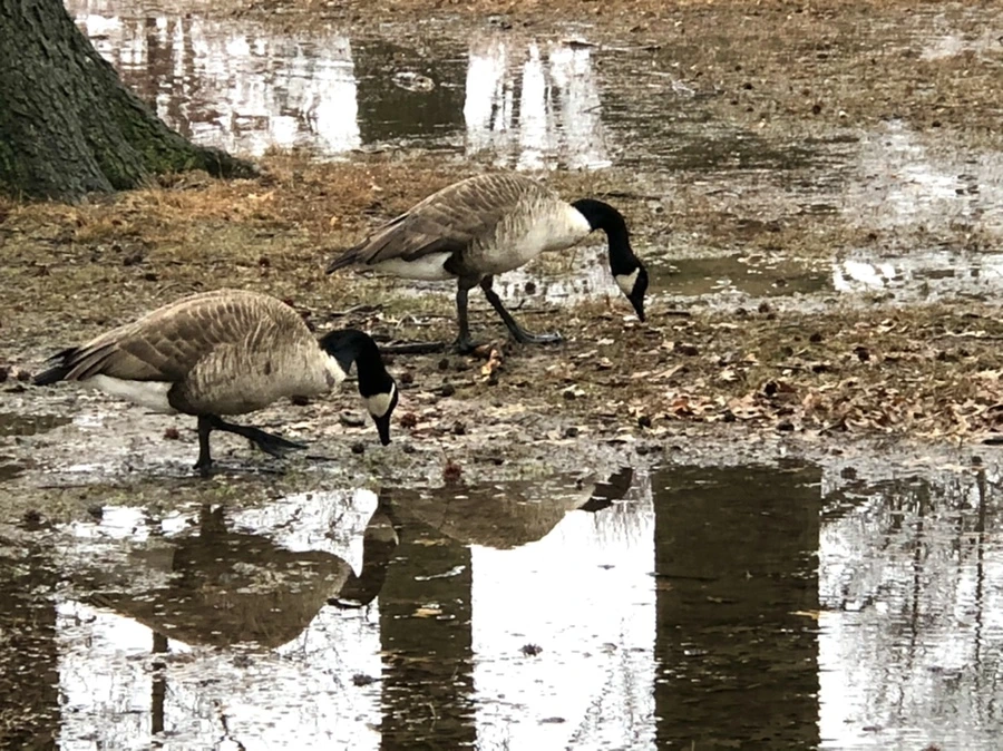 IMG_5650.jpg?type=w966