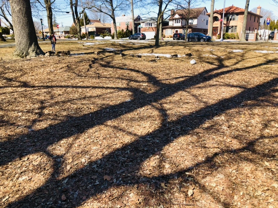 IMG_5095.jpg?type=w966