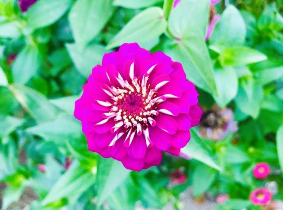 IMG_5645.jpg?type=w966