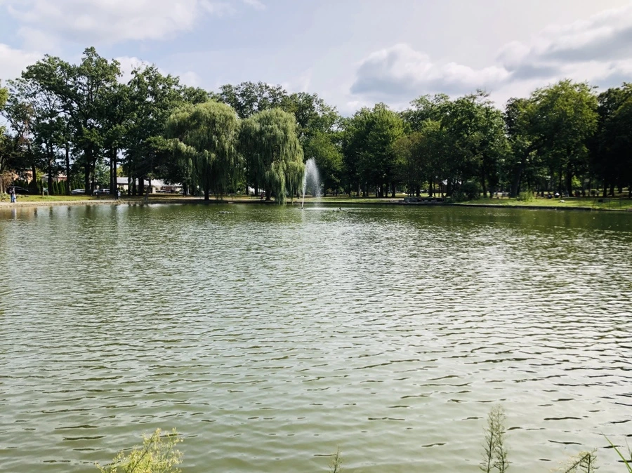 IMG_0119.jpg?type=w966