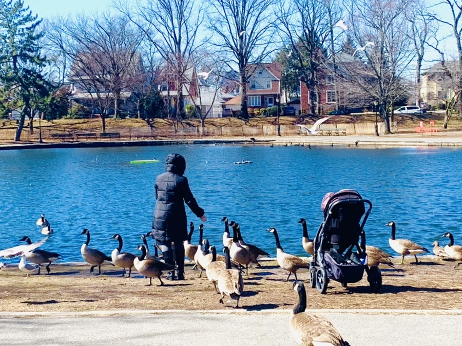 IMG_6682.jpg?type=w966