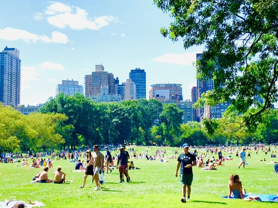 IMG_4366.jpg?type=w966