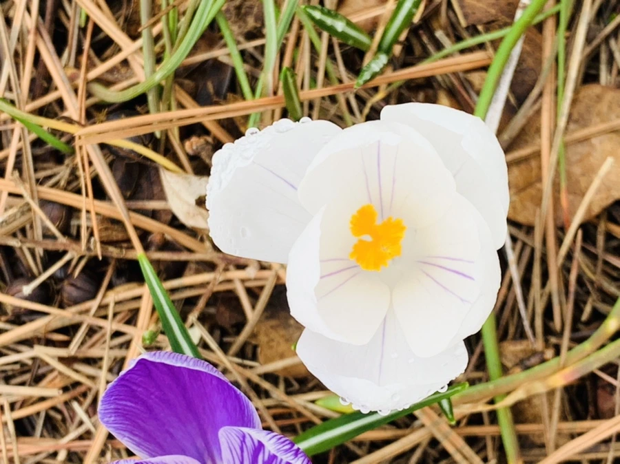 IMG_3789.jpg?type=w966