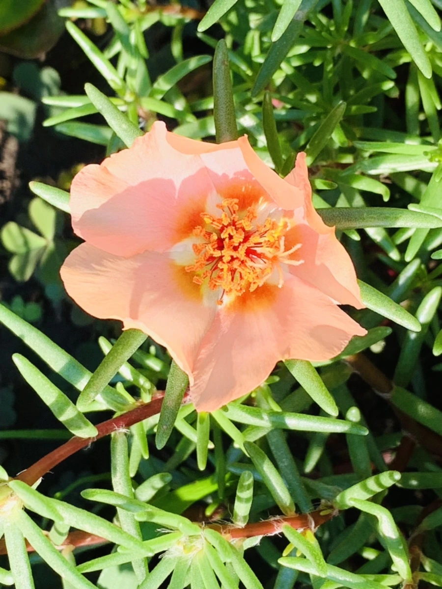 IMG_8428.jpg?type=w966