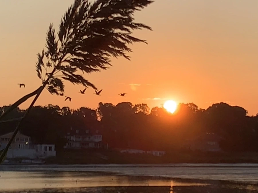 IMG_8879.jpg?type=w966