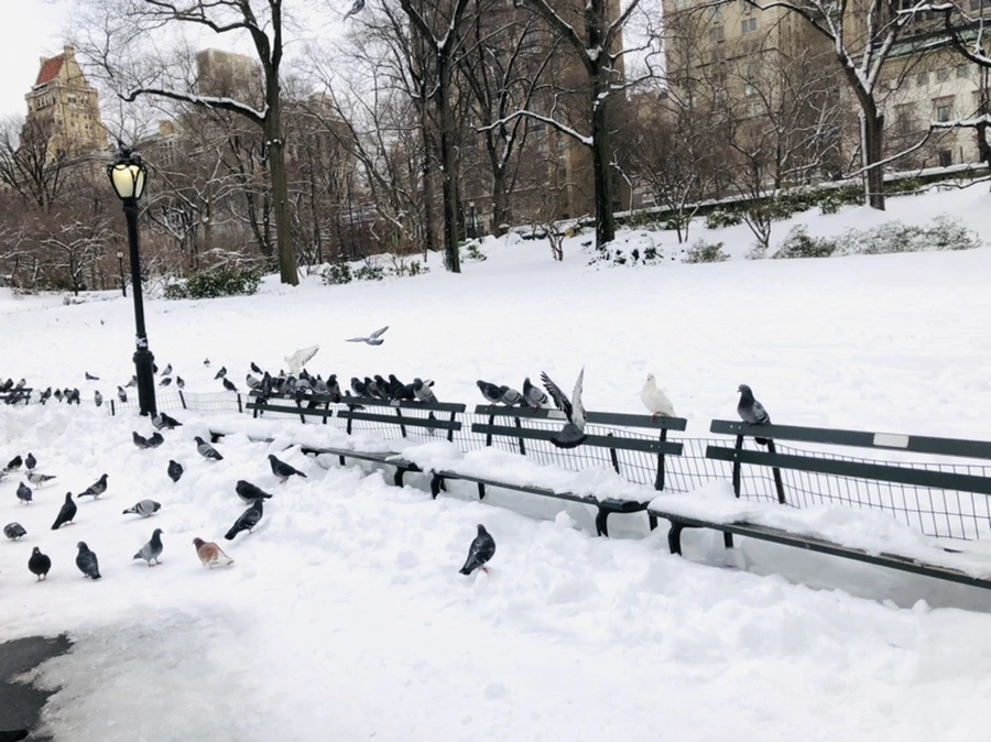 IMG_9126.jpg?type=w966