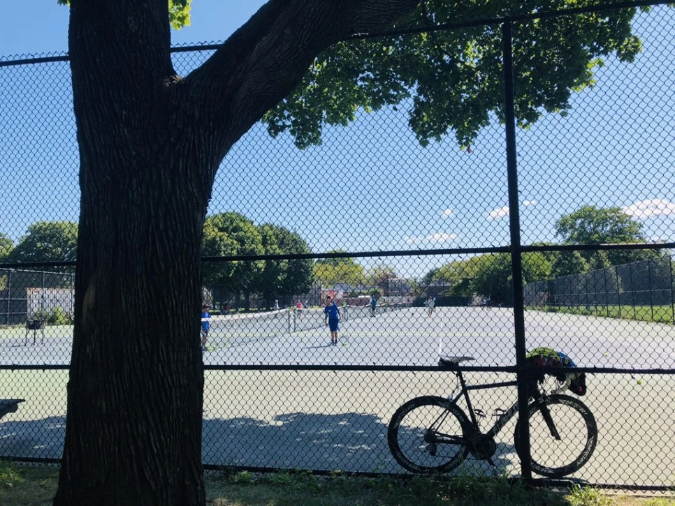 IMG_8428.jpg?type=w966