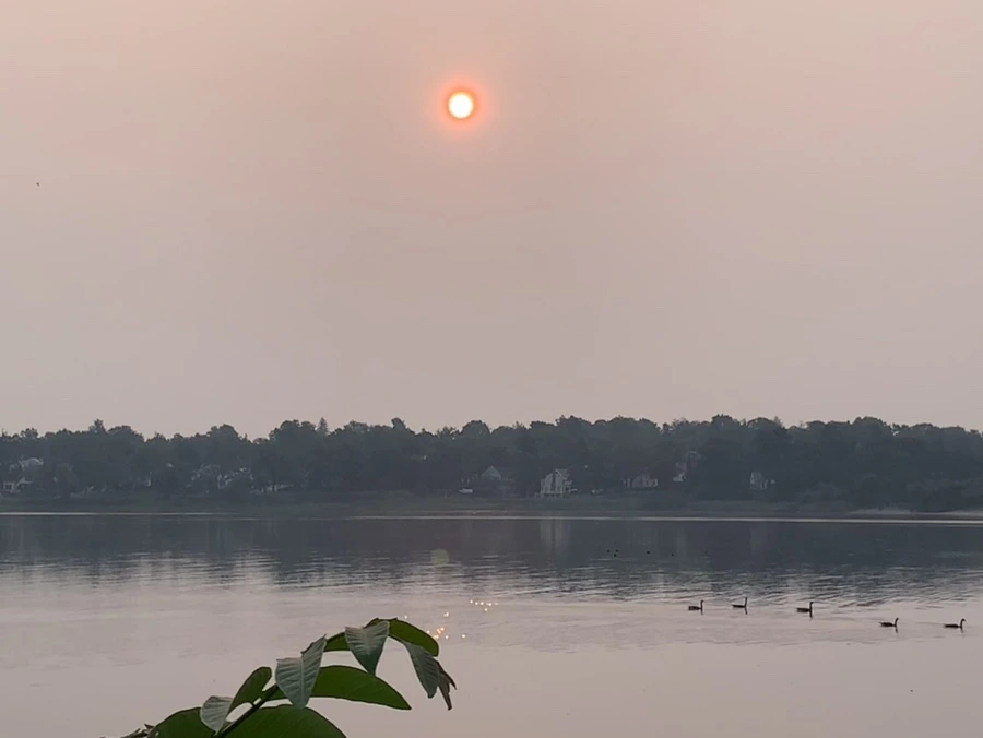 IMG_8155.jpg?type=w966