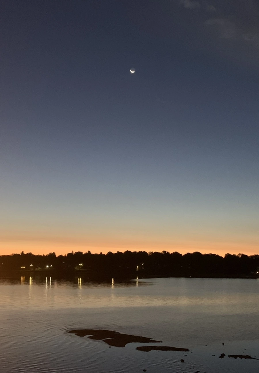 IMG_7355.jpg?type=w966