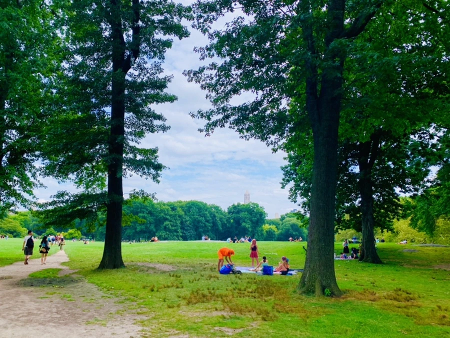 IMG_1560.jpg?type=w966