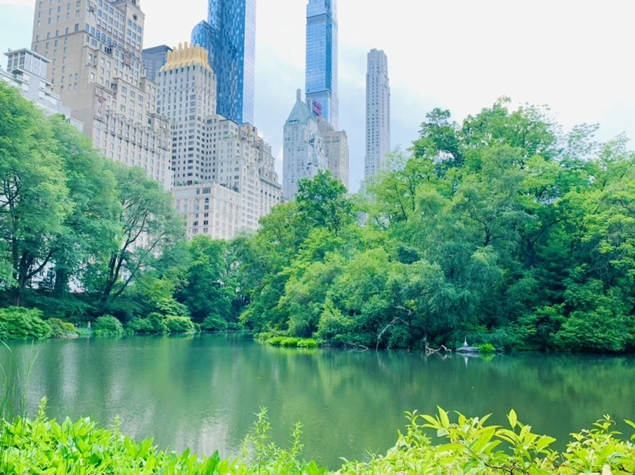 i6N6gJo1hcaZC7j_rjlxyCf2cqI