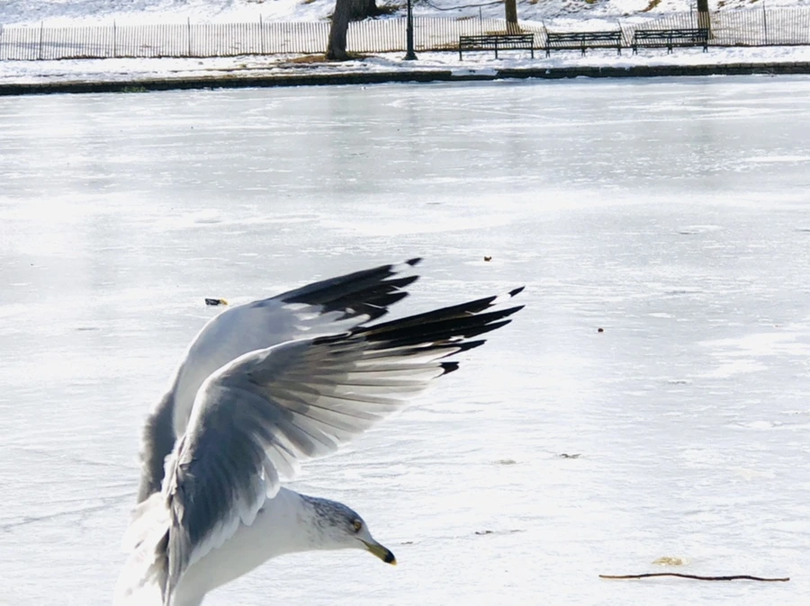 IMG_3184.jpg?type=w966