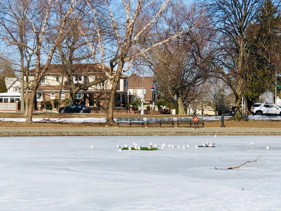 IMG_4627.jpg?type=w966