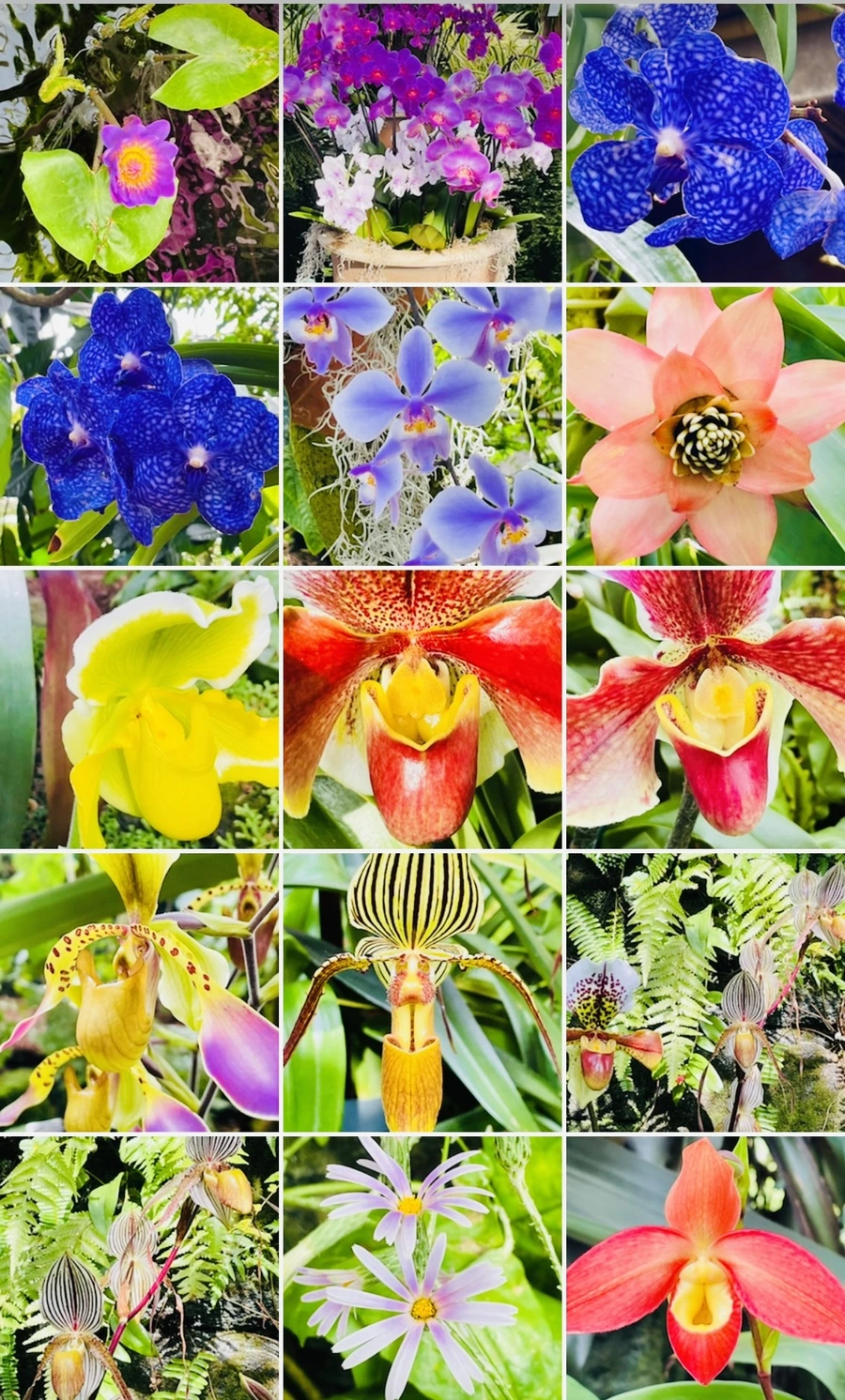 IMG_4693.jpg?type=w966