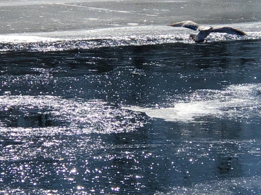 IMG_7793.jpg?type=w966