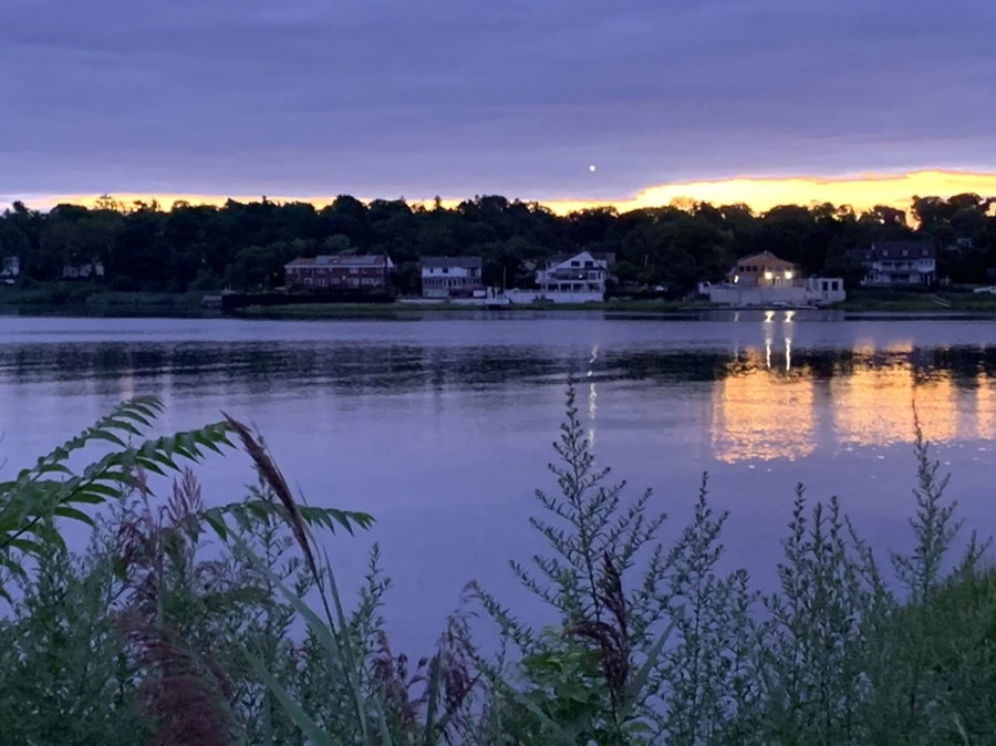 IMG_2274.jpg?type=w966