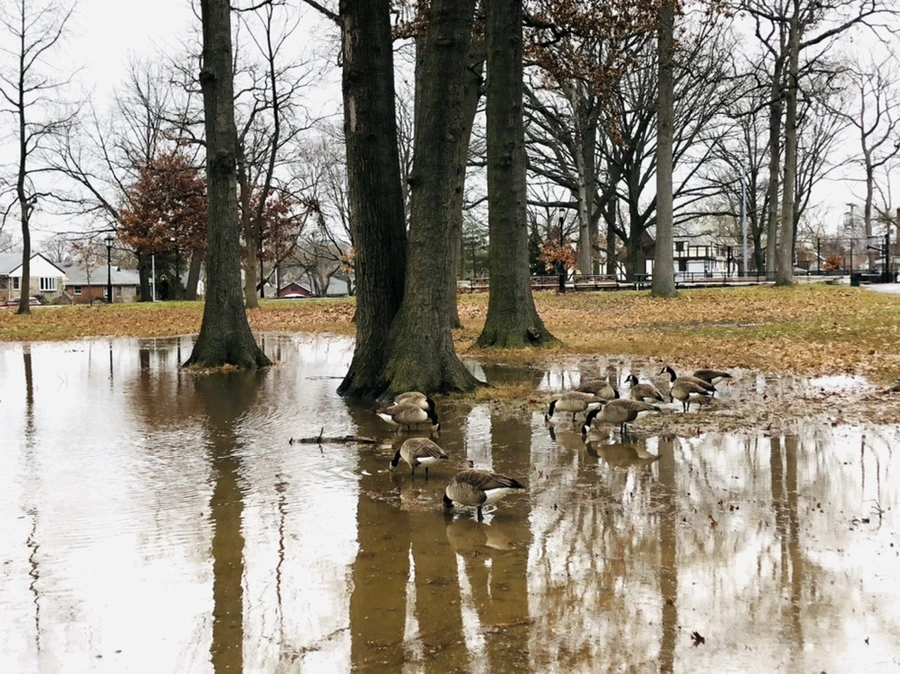 IMG_9525.jpg?type=w966