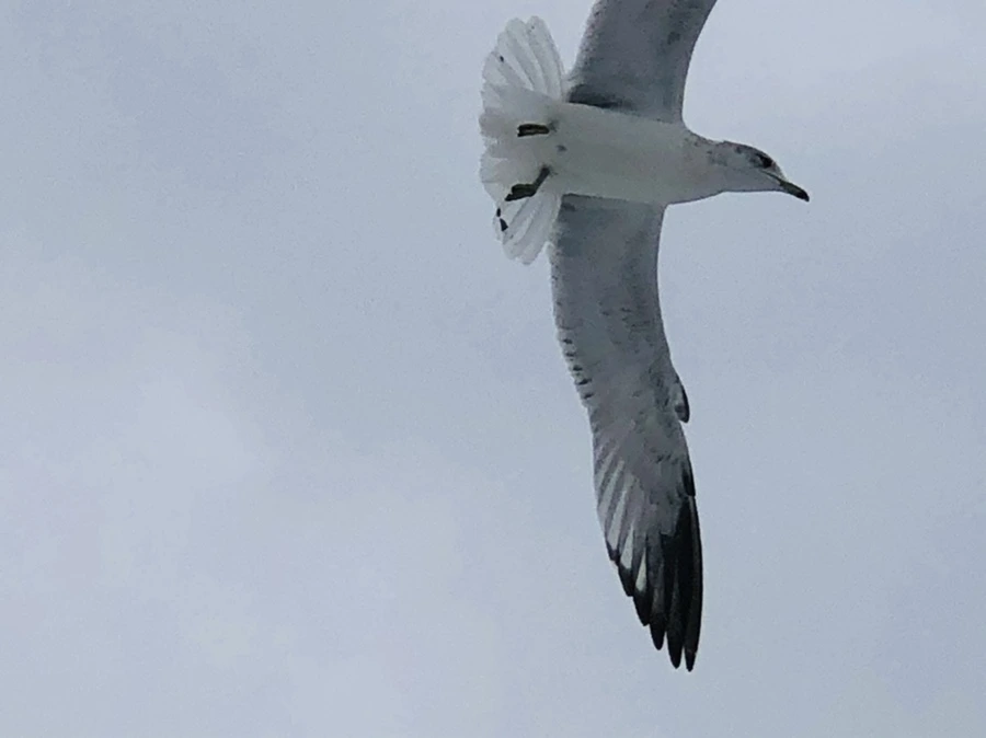 IMG_3745.jpg?type=w966