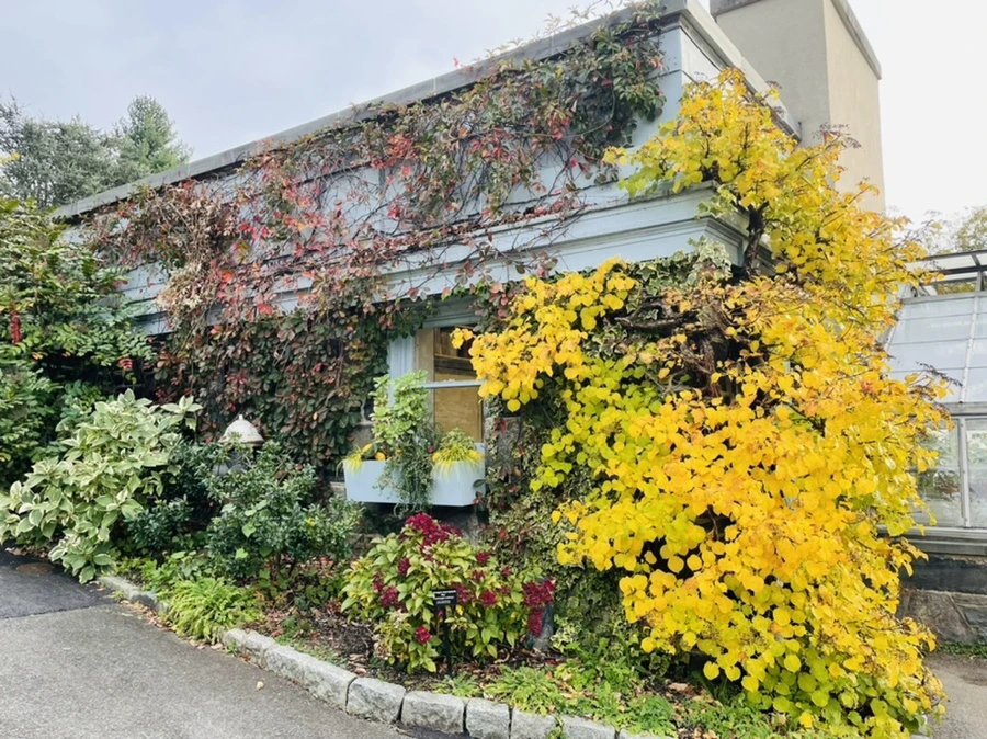 IMG_2405.jpg?type=w966