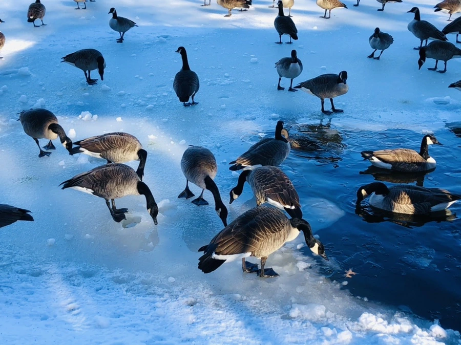 IMG_9910.jpg?type=w966