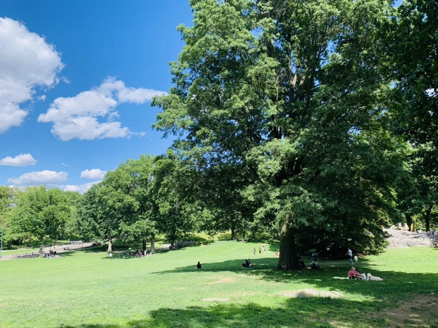 IMG_6394.jpg?type=w966