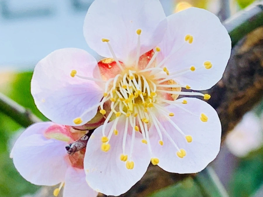 IMG_0825.jpg?type=w966