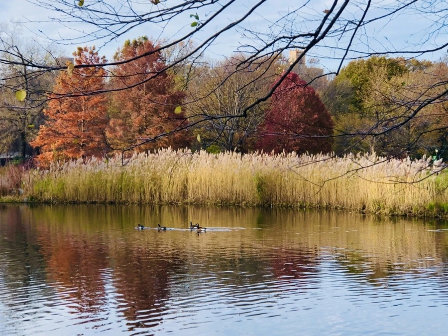 yogU95Cdd4yq686kL7Wh_Xzs5Kk