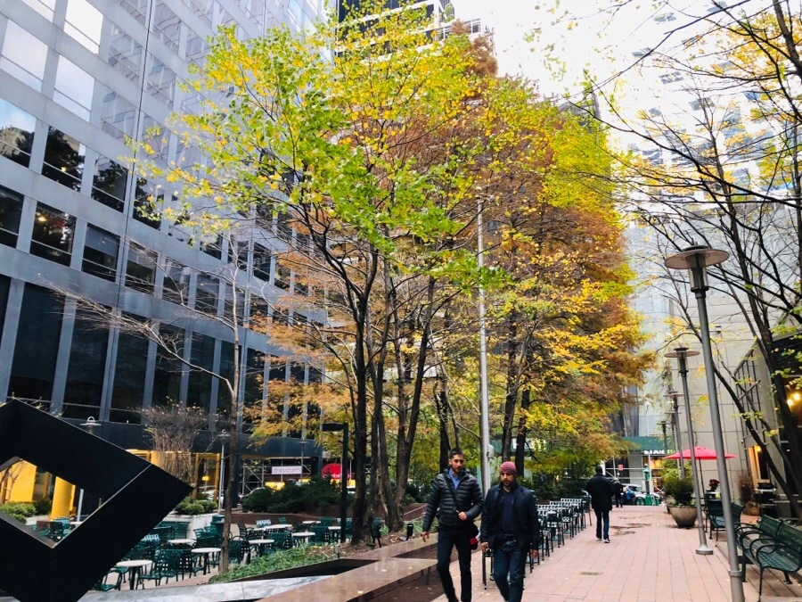 IMG_7830.jpg?type=w966