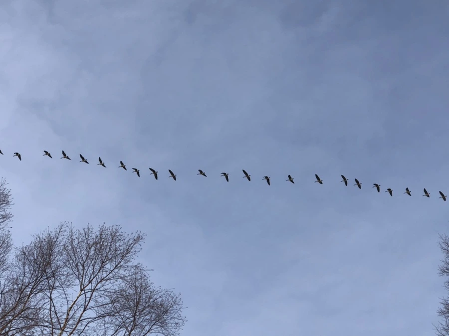 IMG_2259.jpg?type=w966