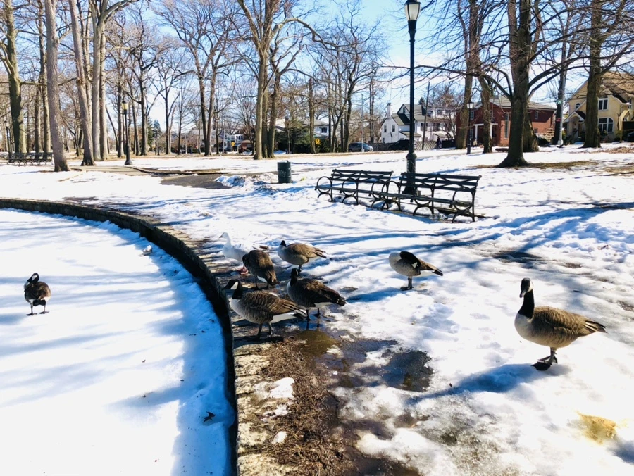 IMG_4916.jpg?type=w966