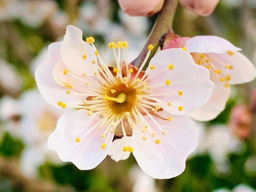 IMG_2340.jpg?type=w966